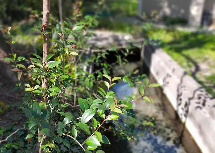 Le Moulin Belle Maison 180m2 Et 5 *